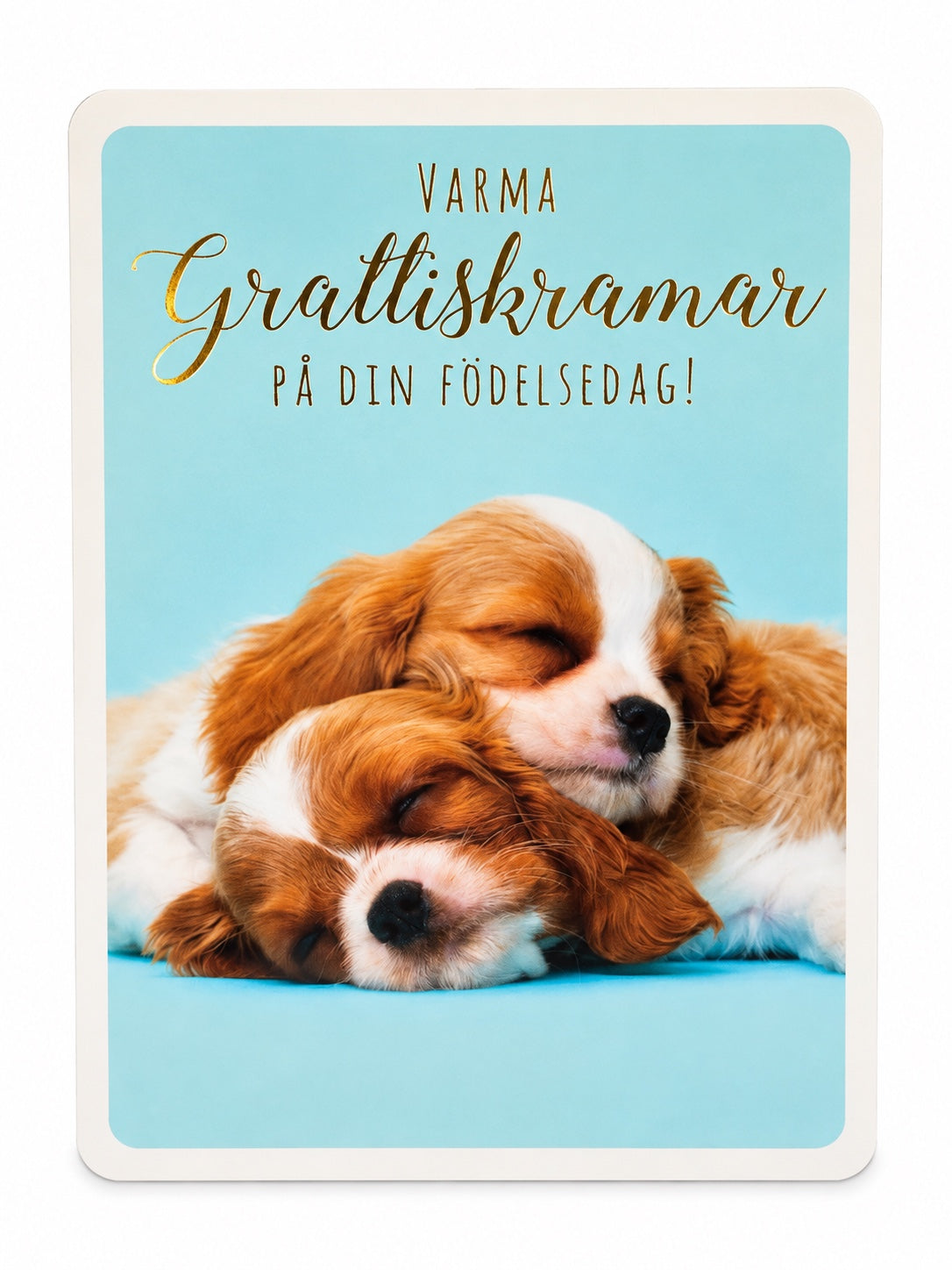 Gratulationskort Varma grattiskramar på din födelsedag med två hundvalpar