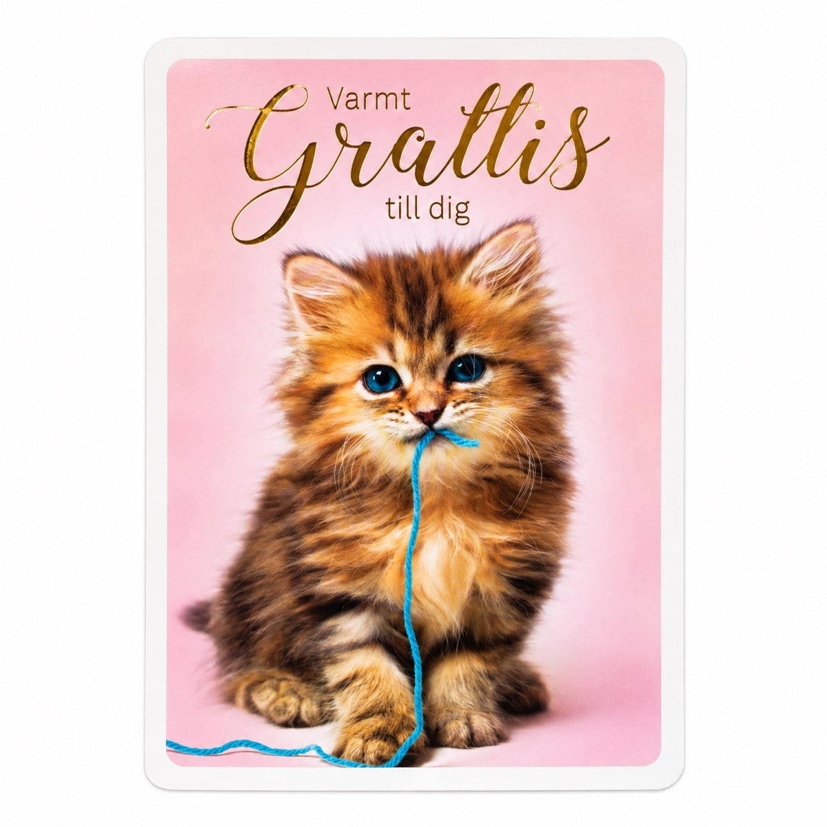 Gratulationskort Varmt Grattis till dig med katt
